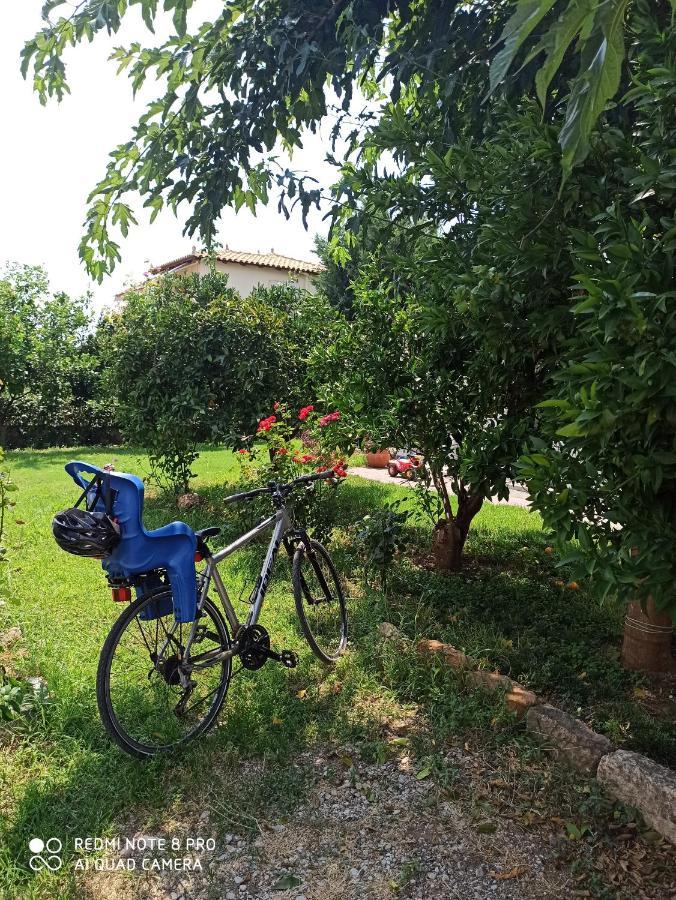 Aloe Apartment In Epidaurus Екстериор снимка